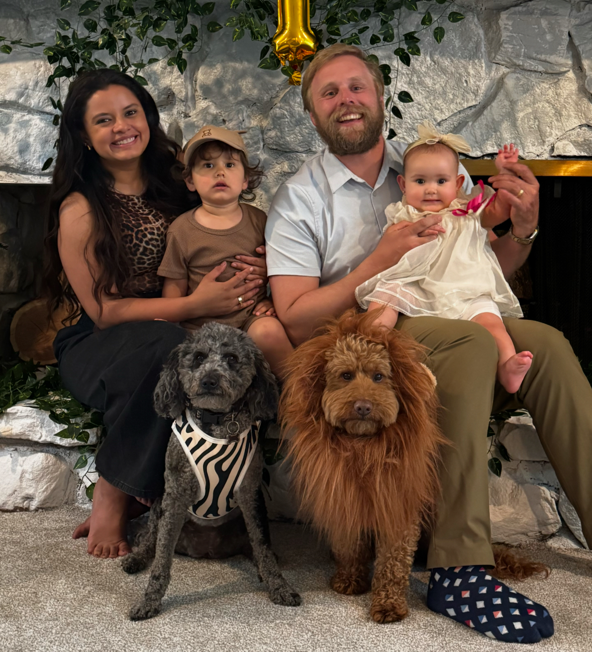 The dogs